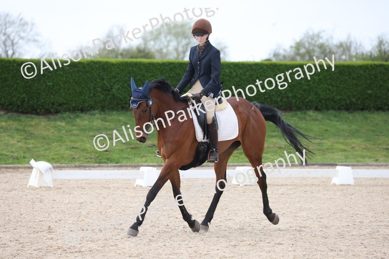 20260404-0901 - Class 5 - Novice 2