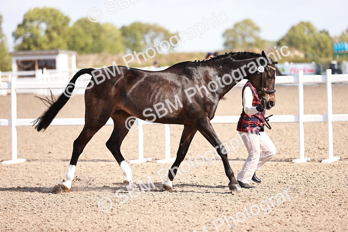 SBM_22792 - Class 705 - IH Combination 65+