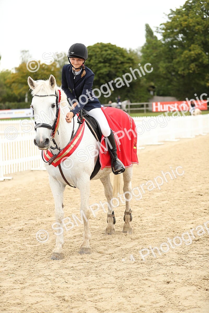 SBM_63164 - Supreme championship 75cm 80cm