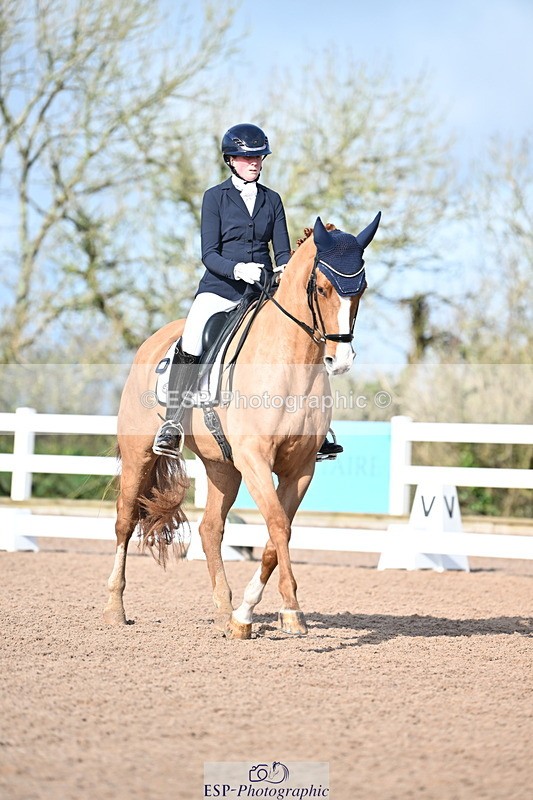 240218A-114218-06812 - 272-Beth.Bainbridge-Newton.Dreamcatcher