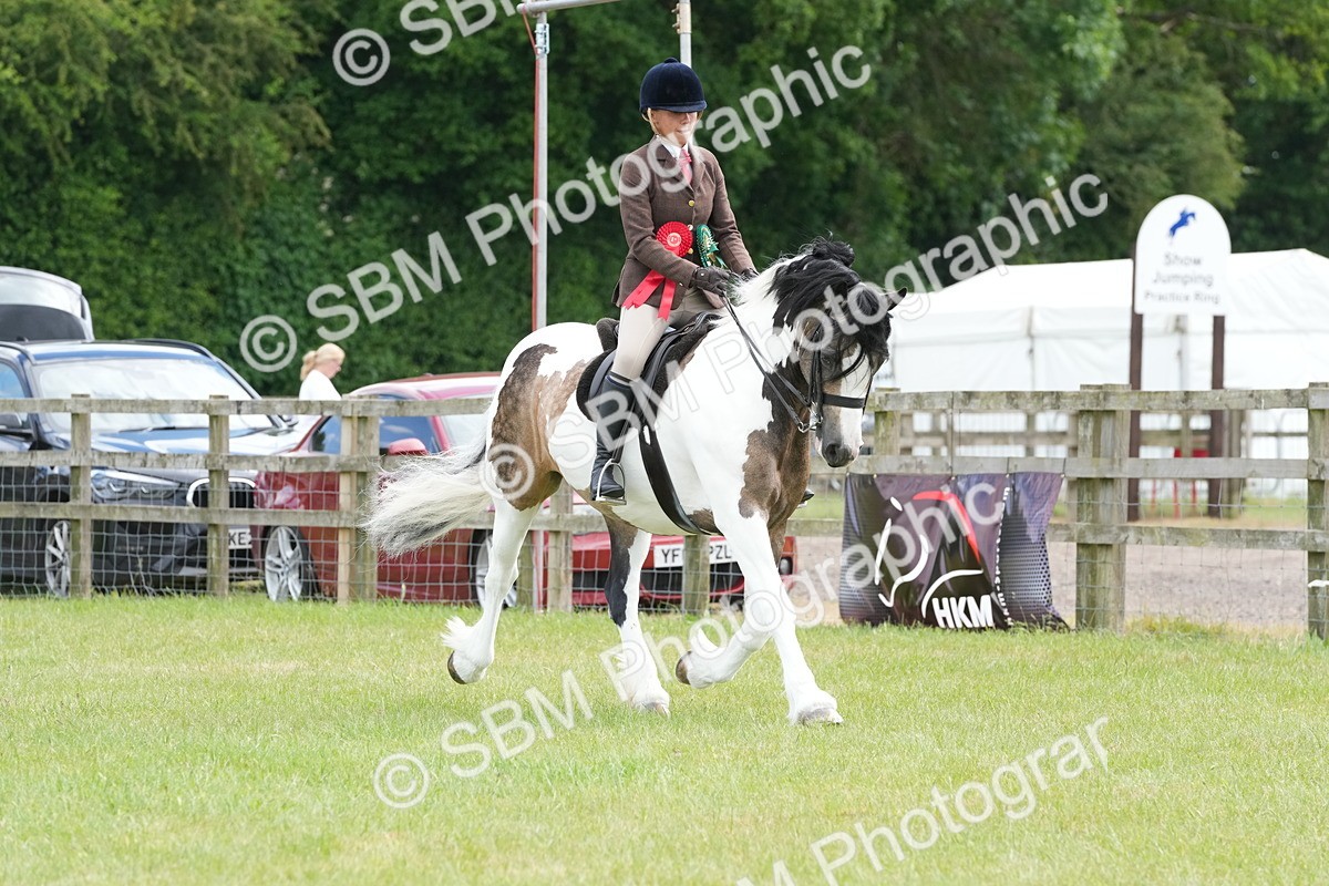SBM_17346 - Class 107-108 - LIHS BSPS Performance Coloured Horse Pony