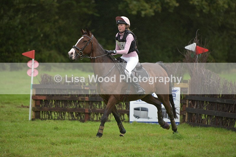 RAY_0195 - Class 4: 80cm: Double of Brushes