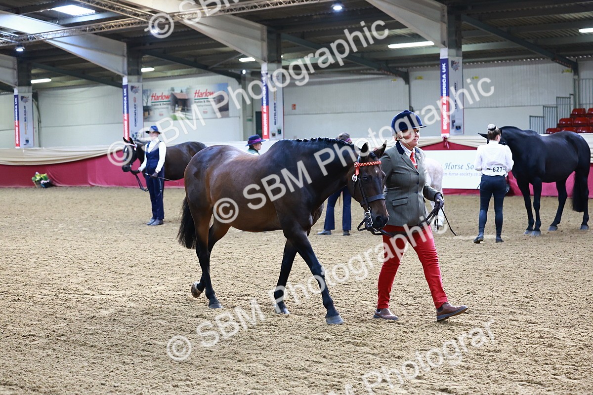 SBM_21697 - Class 901 - Supreme Final - IH  Diamond