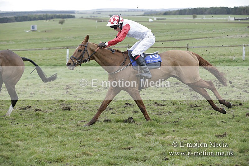 PtP 150320 0884 - New Forest Point-to-Point Larkhill 15/03/20