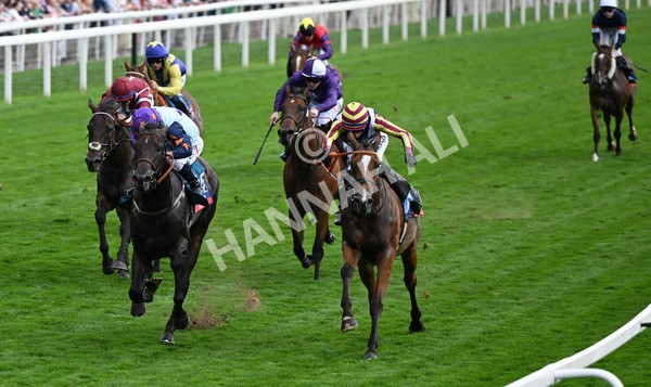 230825-277 Dain Ma Nut In - Race 7 5.20pm Sky Bet Steve Birch Finale Handicap