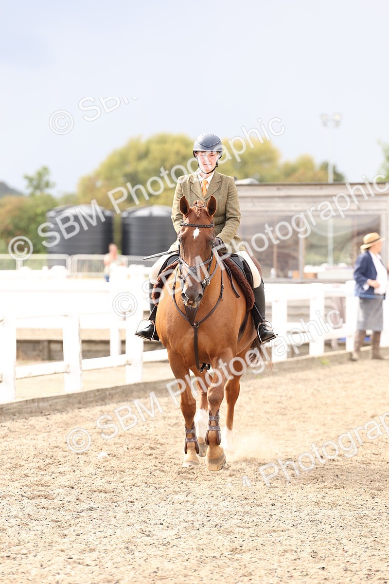 SBM_07449 - Class 59a -  Style & Performance - 80cm (15-19)