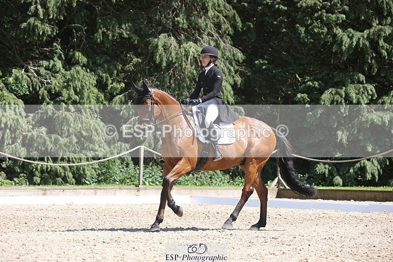 230526-145951-06597 - 377-GOLD_NUGGET-Jillian_Giessen-WEDTrotUp+DR