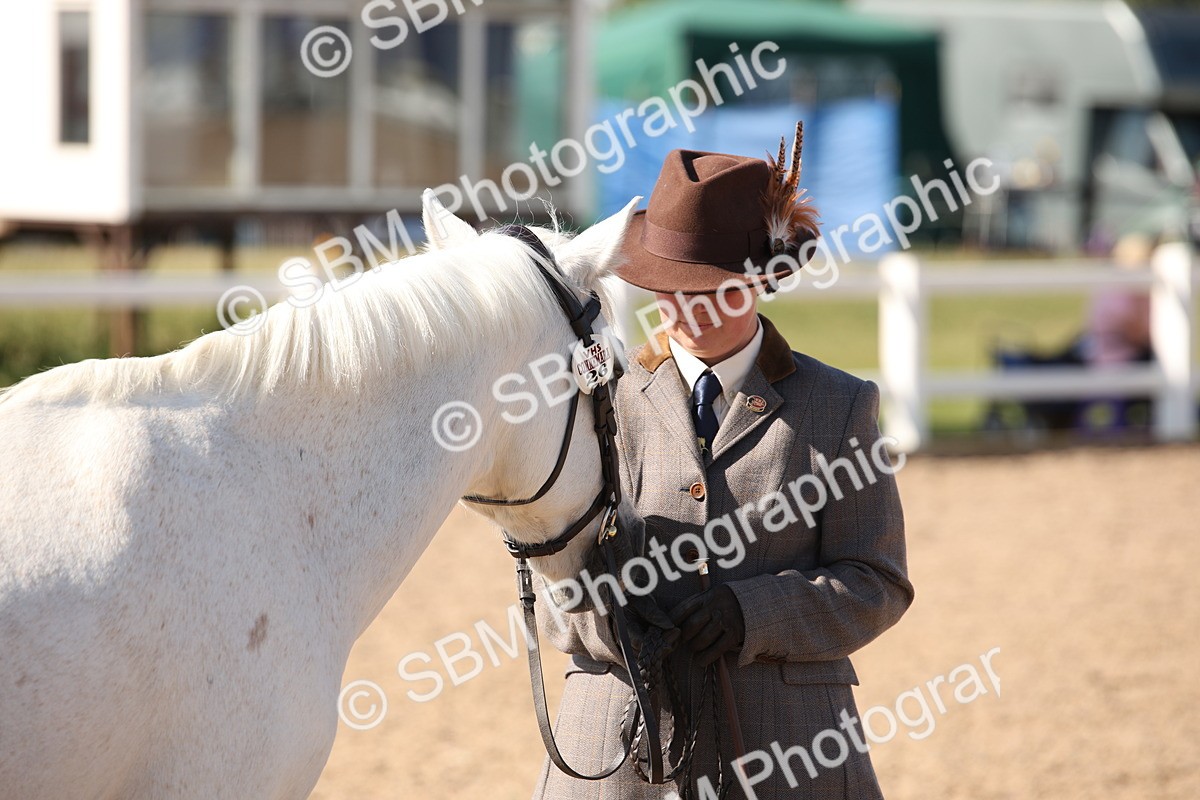 SBM_02808 - Class 16 IH M&M Wildcard