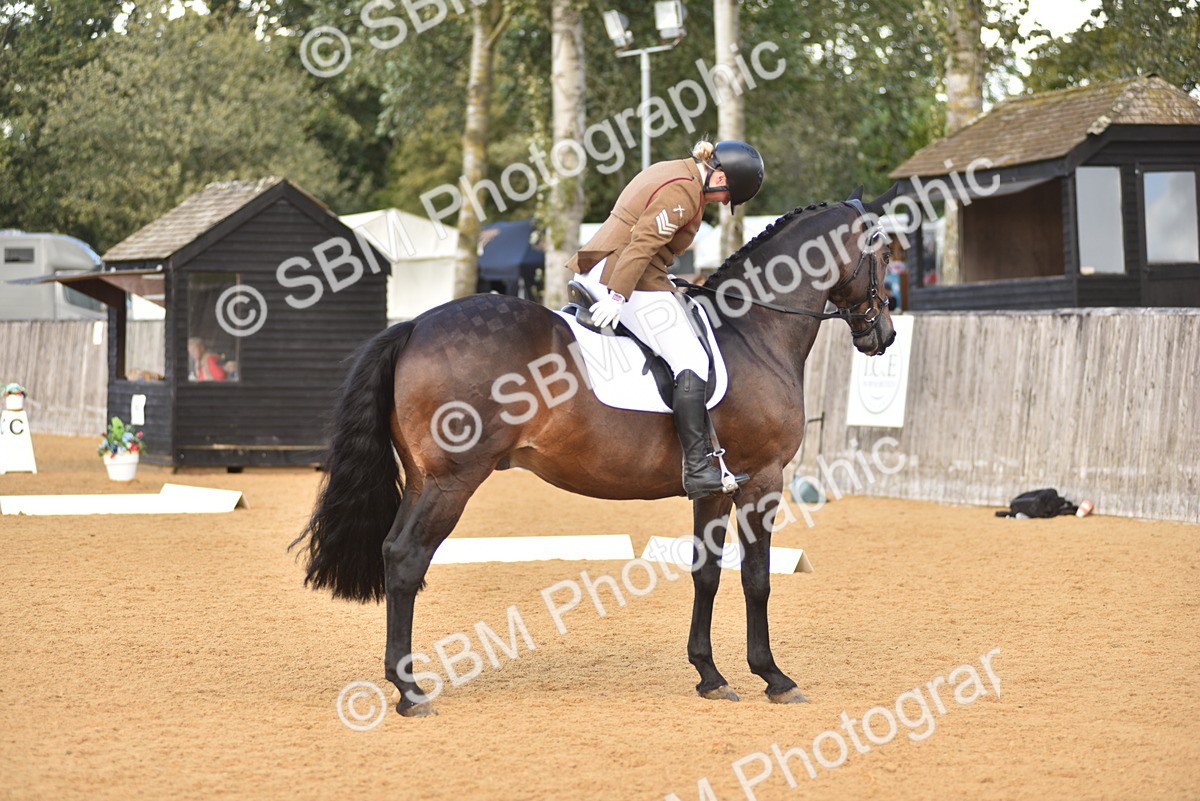 SBM_29608 - D16 -Small Tour Championship Novice 2