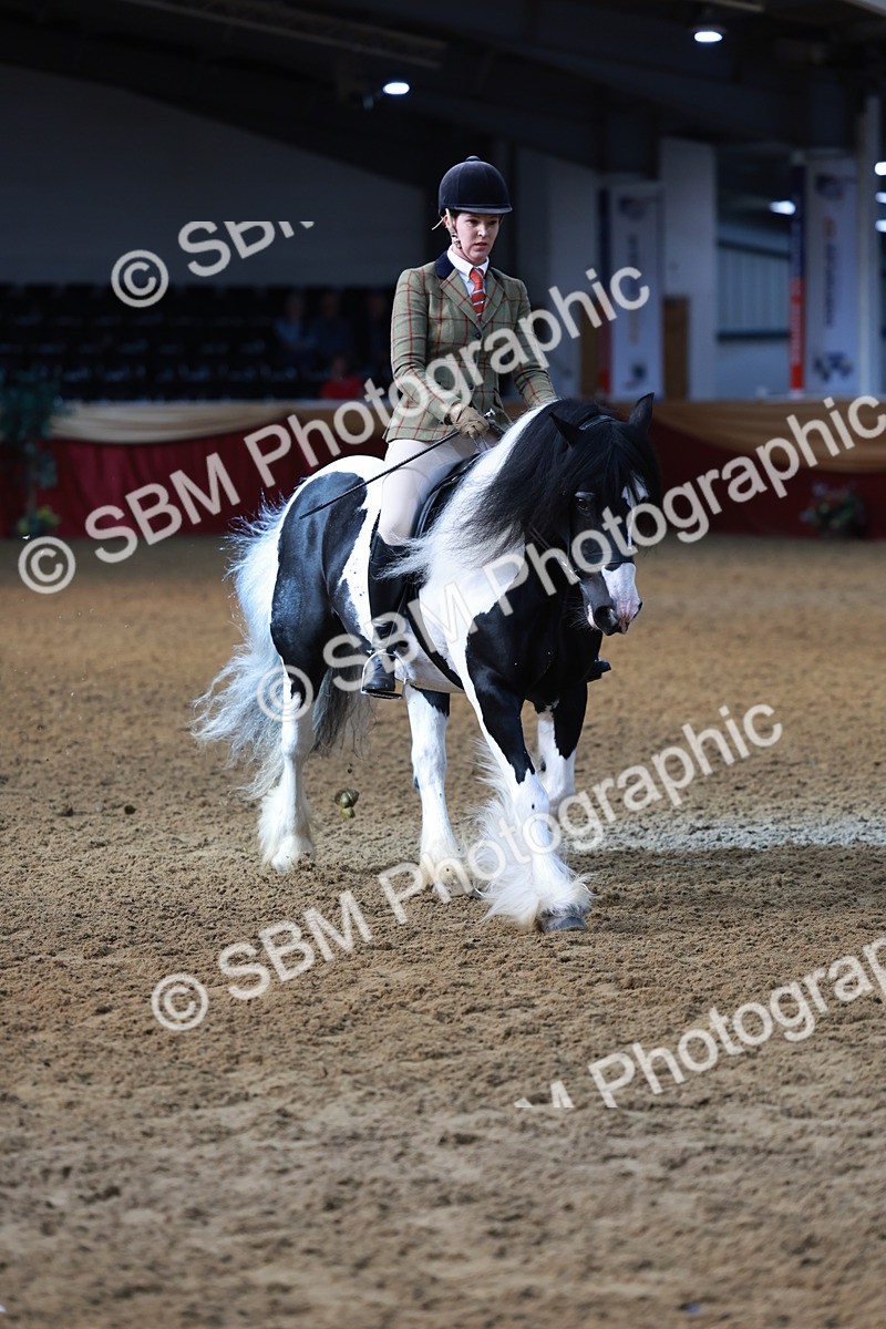 SBM_11895 - Class 102 - Equitation (Best Rider) Adult