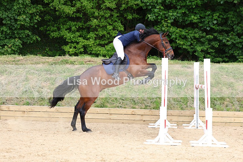 3E7A7901 - Class 8: Senior Foxhunter/1.20 open