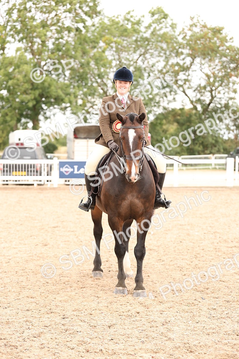 SBM_19602 - Class 215 - Ridden Show cob