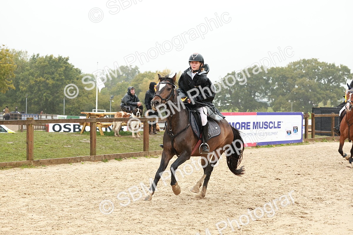 SBM_72375 - J14 - Junior Pony 65cm Championship