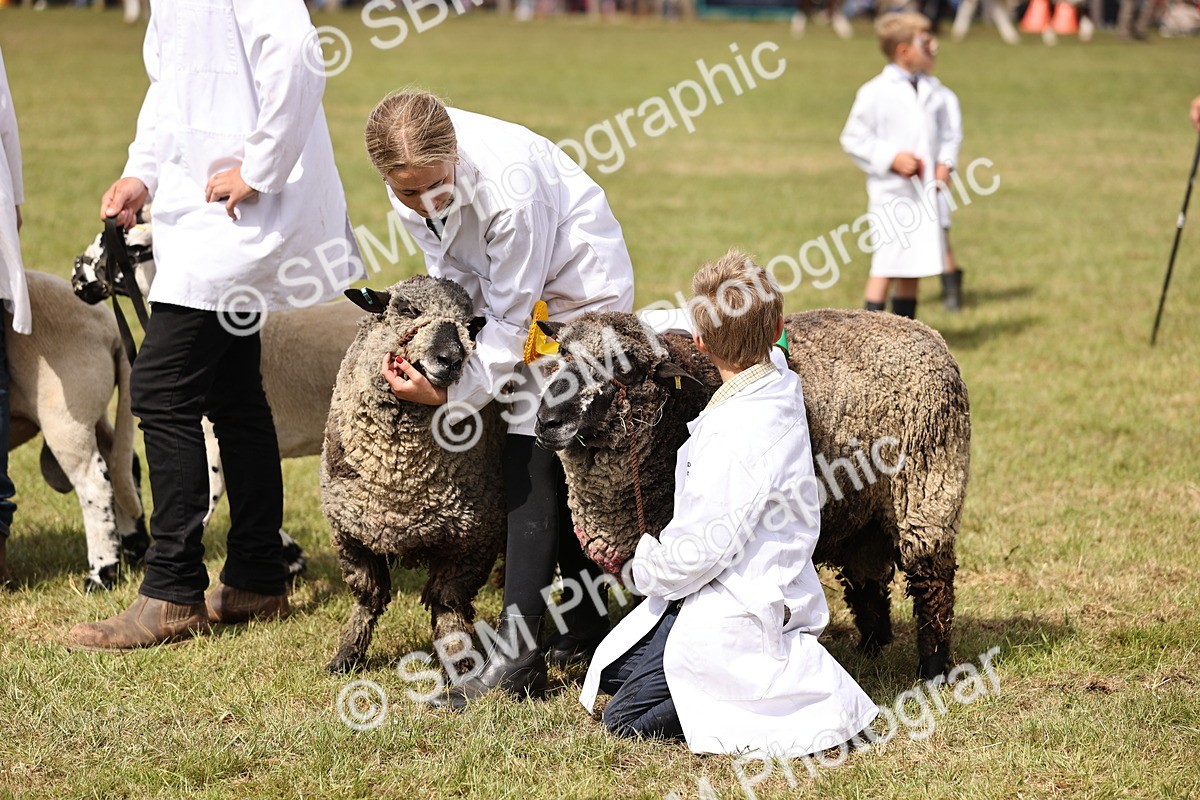 SBM_16916 - Grand Parade