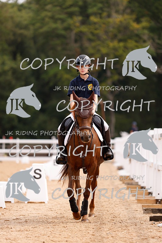 _R6A2480 - Dressage Morning