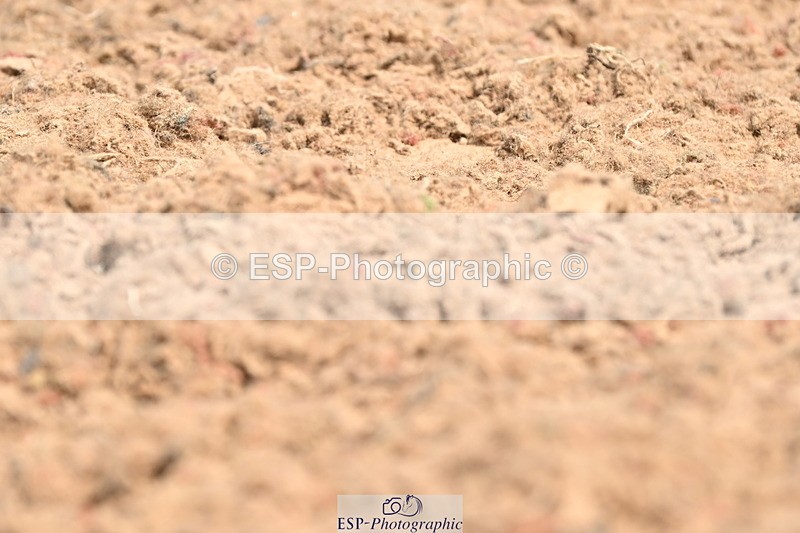 240621A-110922-01539 - Cls 4 BD Novice 22