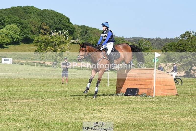 230527-102532-08217 - 255-HI_MR_HENRY-Henry_Hobby-XC