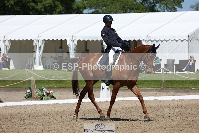 230526-114452-06102 - 156-JUST_PERFECT-Gaspard_Maksud-WEDTrotUp+DR