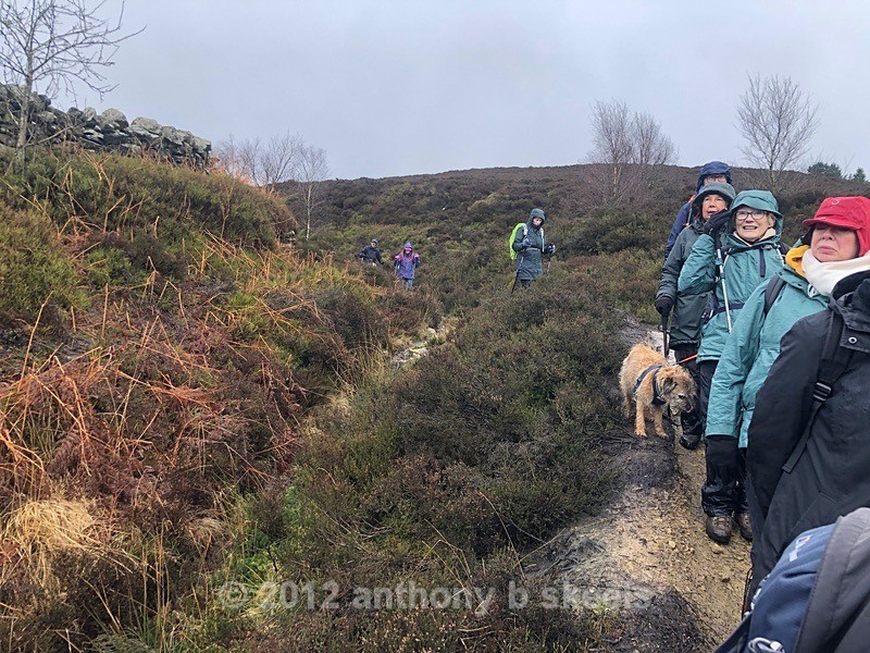 020 The start of a descent on Atlay Bank - York Minster Walkers Collection 2024