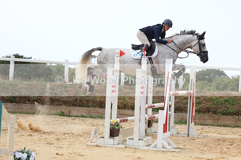 3E7A4464 - Class 8: Senior Foxhunter/1.20 open