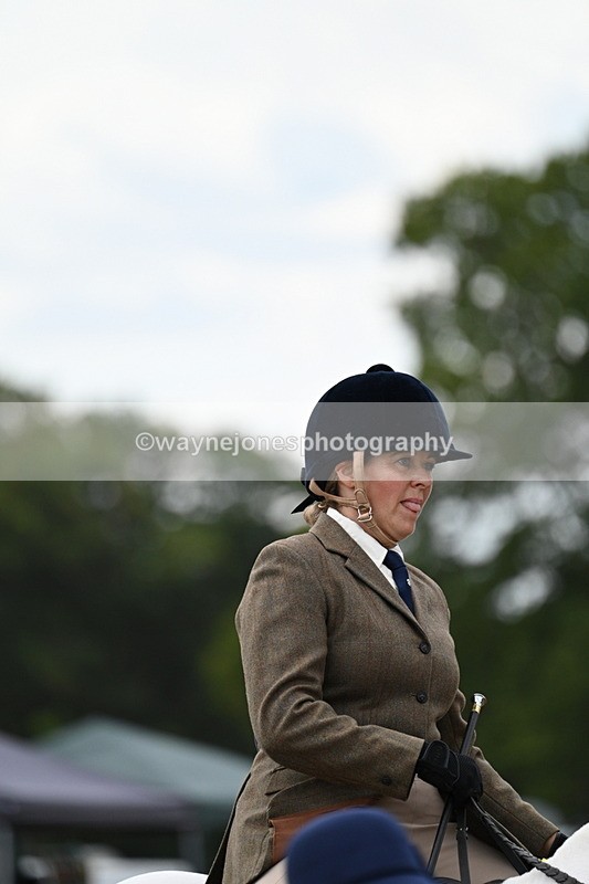 WJ7_5250 - Class 12 Ridden Cob