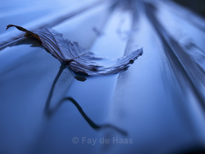  - The Blues