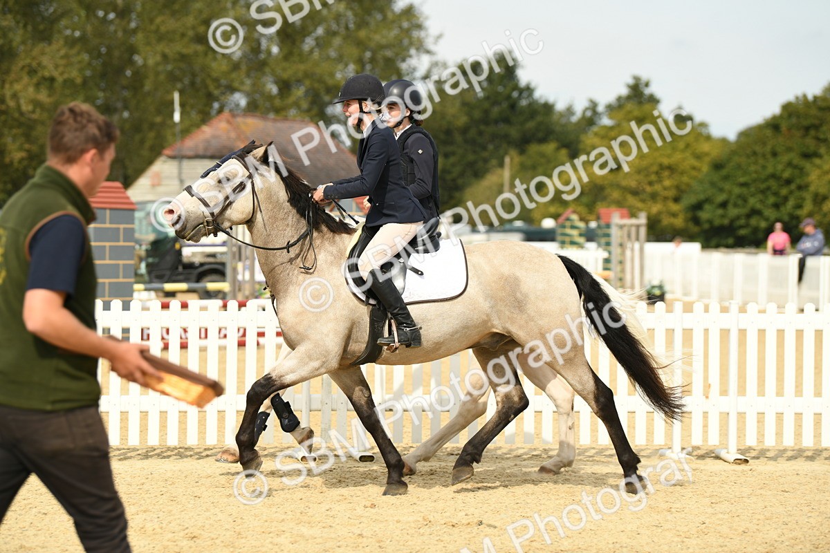 SBM_65338 - J48 - Pairs Jumping Open 70cm & 85cm