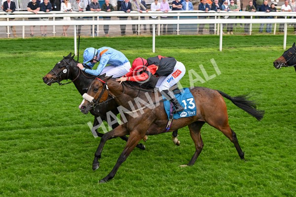 150524-Race 5-Diligent Resdev-4441 - Race 5 4.15pm Conundrum HR Consulting Handicap