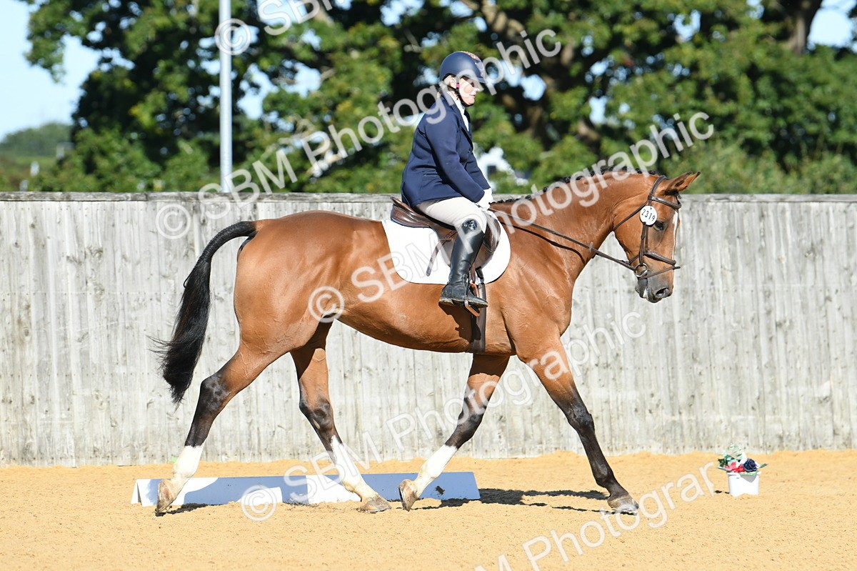 SBM_16209 - D4 - Small Tour Championship - Intro B