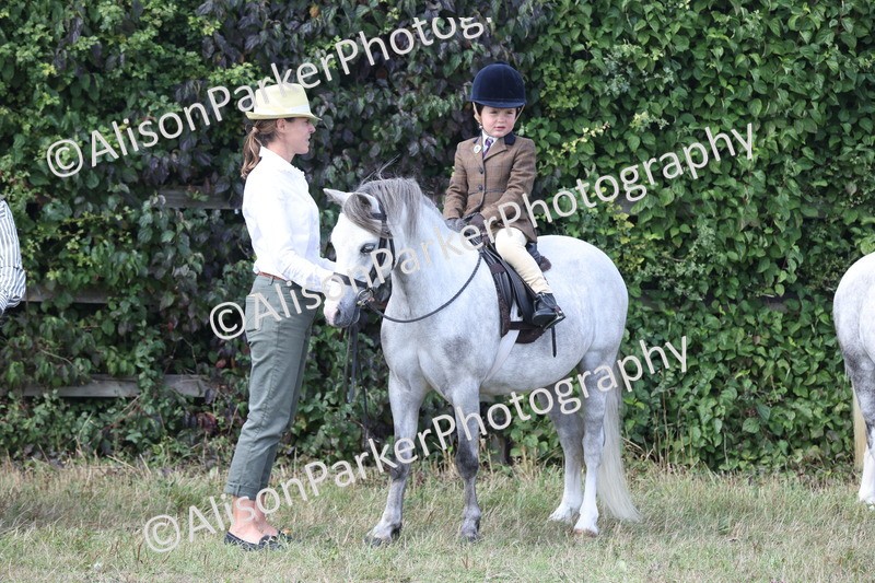 20250831-2730 - Class 17 - Lead Rein Pony