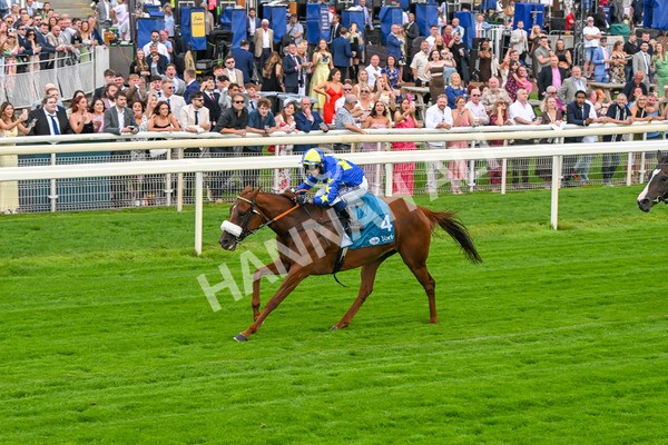250725-Race 2-Rock N Roll Pinkie-5487 - Race 2 6.03pm Elevator Company Handicap