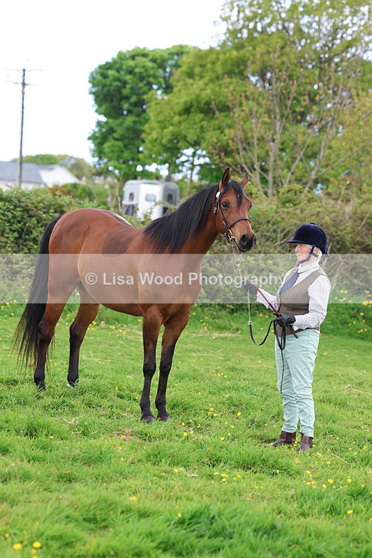 3E7A0867 - In Hand Championship