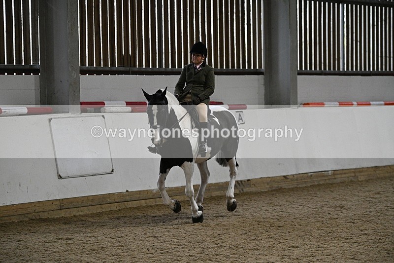 WJ7_4069 - Class 17 Ridden Cob