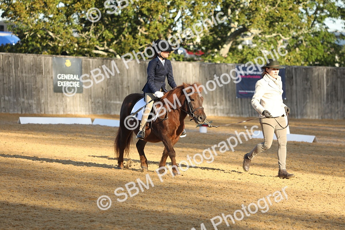 SBM_33628 - D26 - Starers - Lead Rein