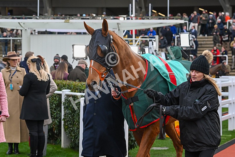 120325-Fringill Dike-WR-7675 - 12th March
