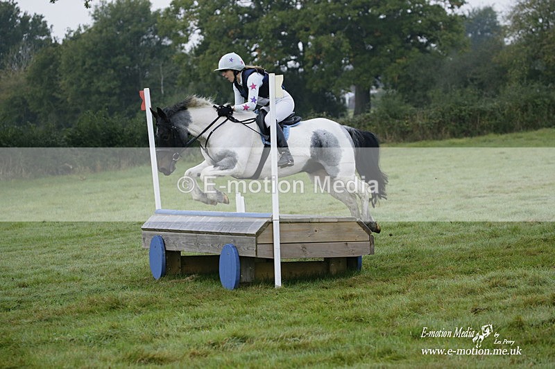 WWHT 171021 0110 - Novice Restricted (0.80m)  17/10/21