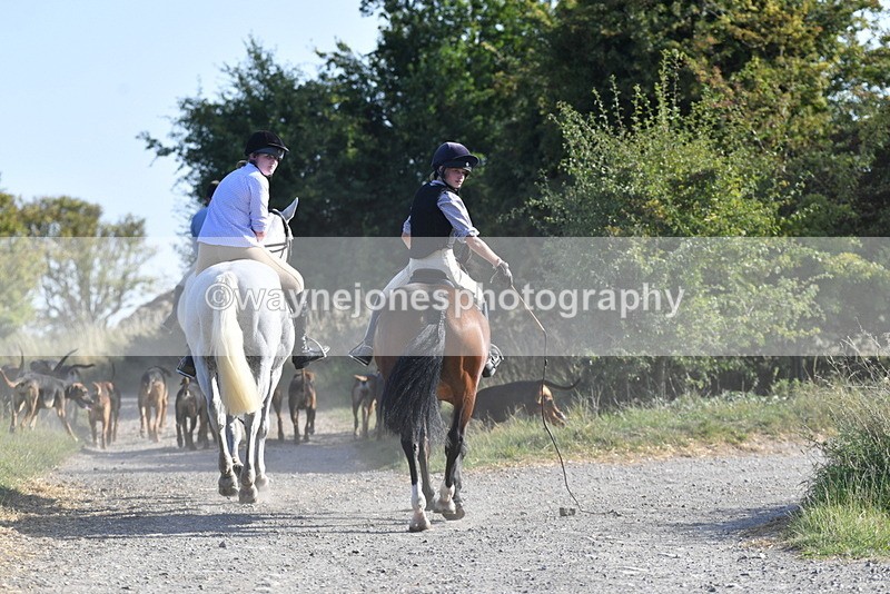 WJ5_4840 - Walk out with the hounds