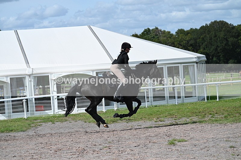 WJ7_2247 - Time 13:17 to 13:53