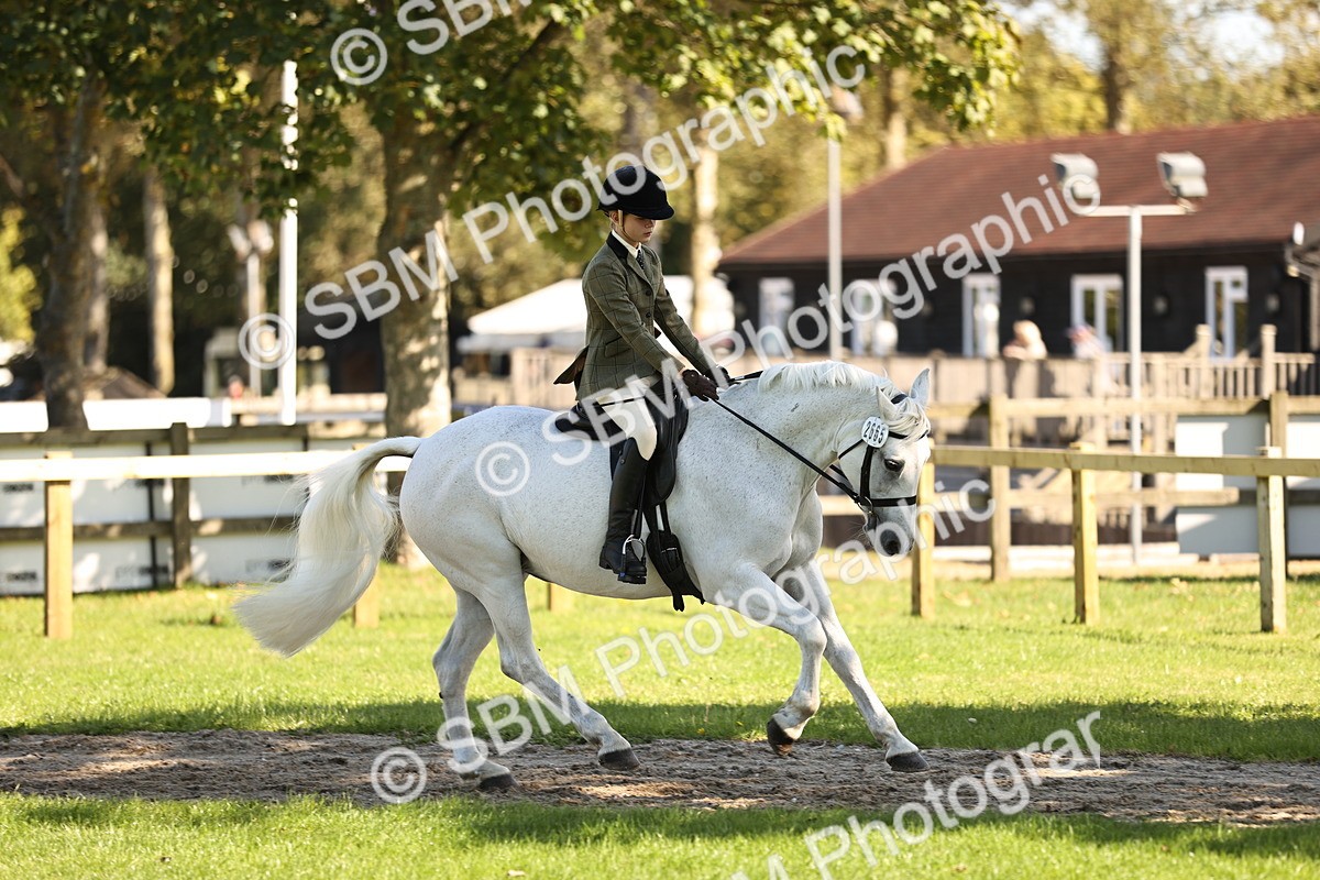 SBM_19130 - S3 - TSR Ridden Pony Showing