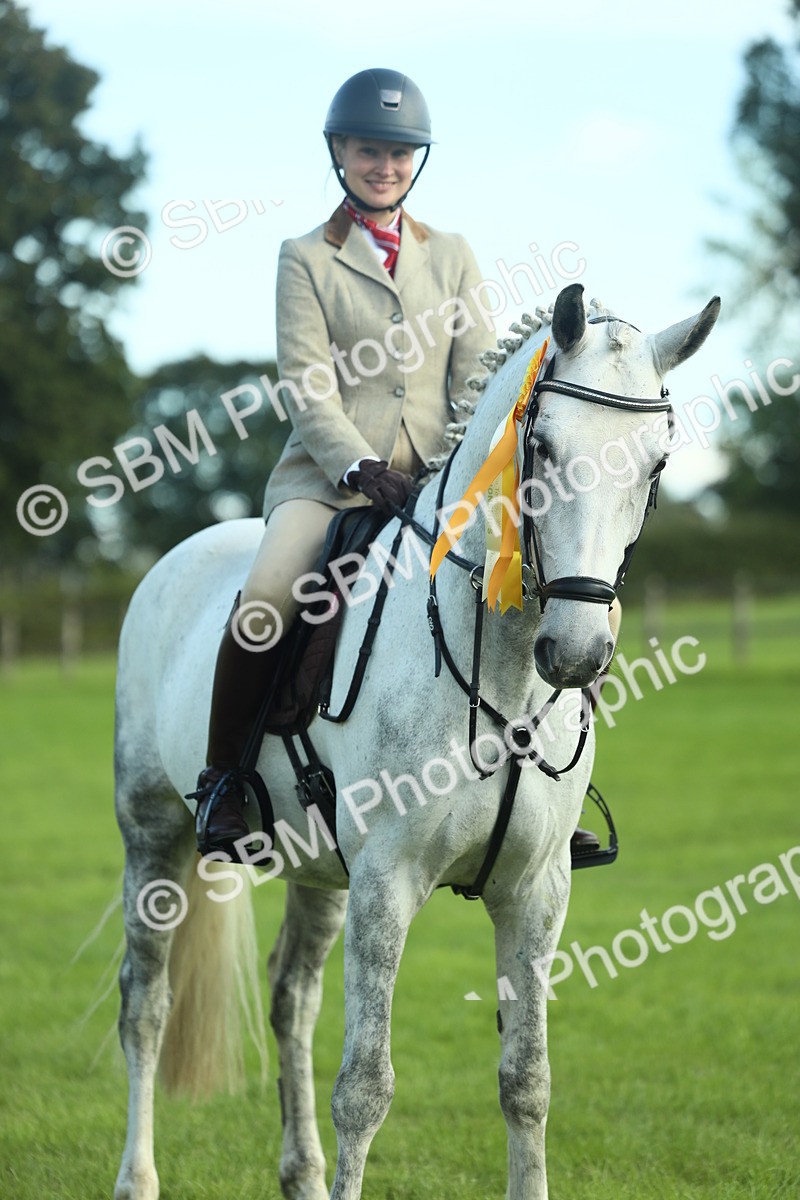 SBM_49954 - S32 - Novice & Newcomers Working Hunter