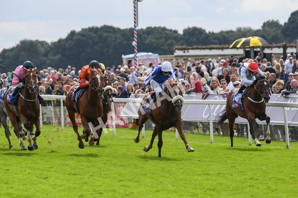250823-Race 1-Marhaba The Champ-0120 - Race 1 1.50pm Sky Bet Handicap