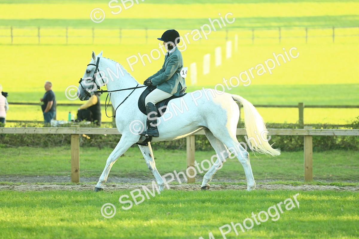 SBM_56401 - S14 - Riding Club Horse