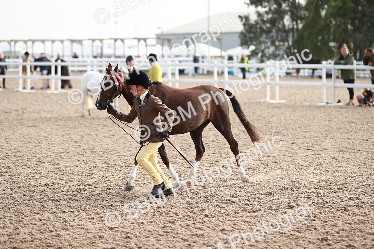 SBM_09899 - Class 203 Young Handler, 10 years and under