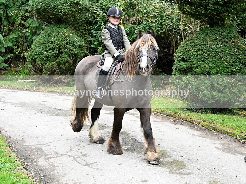 WJ7_6522 - Berks & Bucks - Children's Meet - The Old Farmhouse – Steventon.