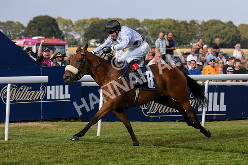 310824-Race 7-Zapphire-2147 - Race 7