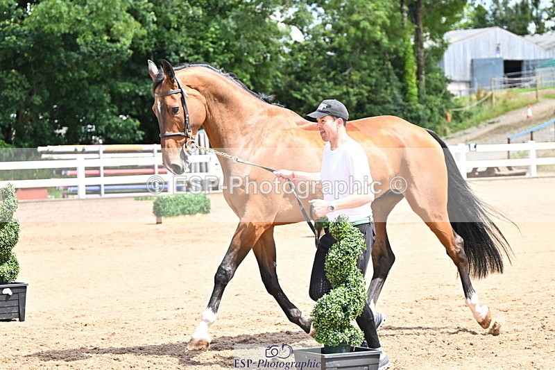 240718A-105248-01180 - Trot Up 12pm to 1pm