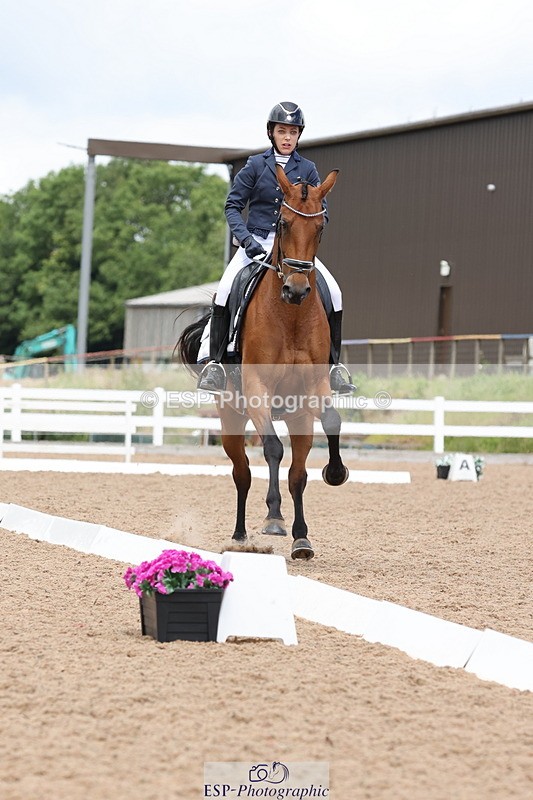 240622A-133437-11781 - Cls 29 BD Elementary 45