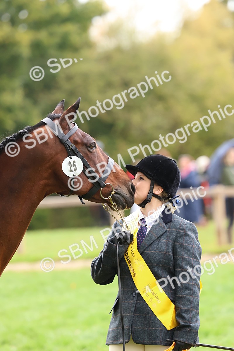 SBM_41759 - S26 - Mature Veteran In Hand