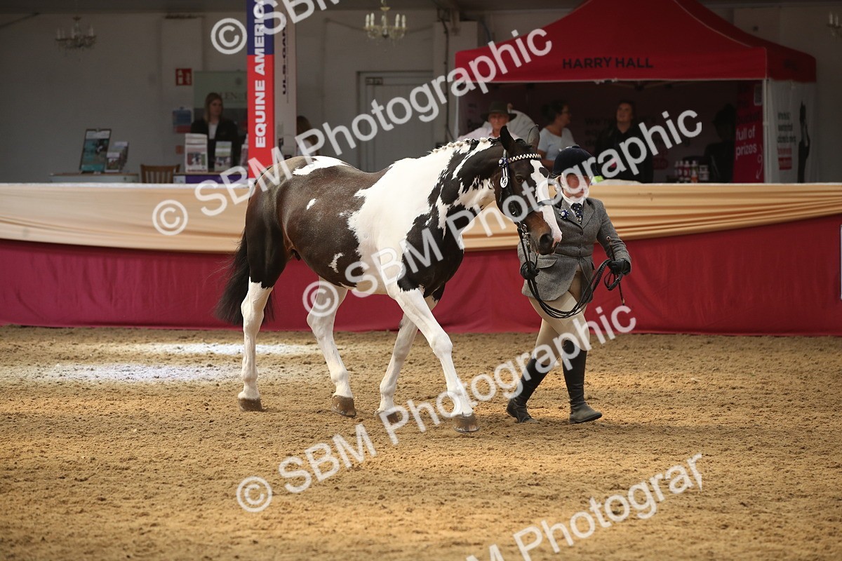 SBM_05637 - Class 9R - Regional IH Pre-Vet