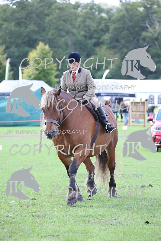 APP_3658 - Class 8 Ridden Class